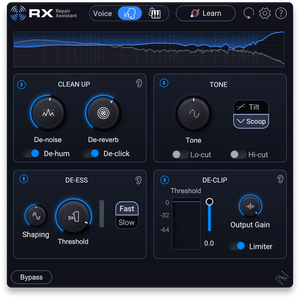iZotope RX 12 Elements