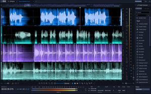 iZotope RX 12 Standard