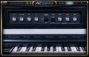 XLN Audio Addictive Keys: Duo Bundle