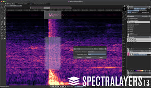 Steinberg SpectraLayers Pro 13 Competitive Crossgrade