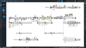 Steinberg Dorico Pro 6 + Iconica Opus + Etude Bundle