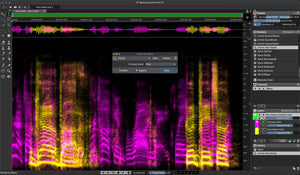 Steinberg SpectraLayers Pro 13 Competitive Crossgrade