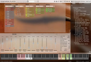 Vienna Synchron Duality Strings (Virtuoso) Standard Library