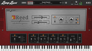 Applied Acoustics Lounge Lizard EP-5 + Packs