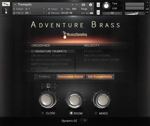Musical Sampling Adventure Brass