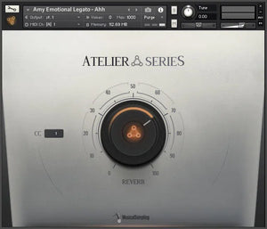 Musical Sampling Atelier Series Amy