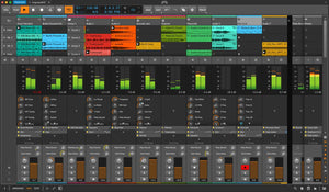 Bitwig Studio Producer 12 Month Upgrade Plan