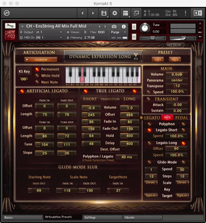 Best Service Chris Hein Ensemble Strings