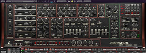 Cherry Audio Crumar DS-2