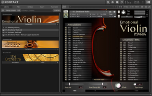 Best Service Emotional Violin