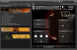 Best Service Emotional Violin