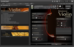 Best Service Emotional Violin