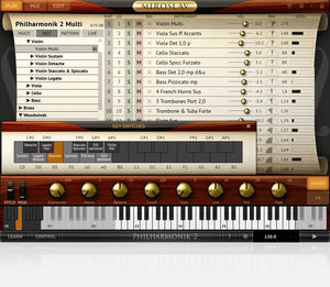 IK Multimedia Miroslav Philharmonik 2 CE
