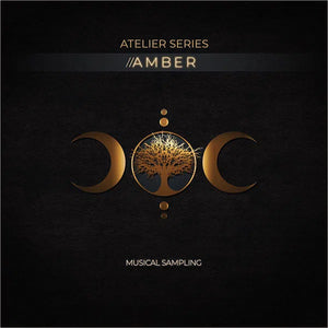 Musical Sampling Atelier Series Amber