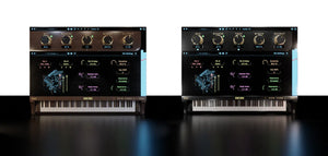 Boz Digital Labs New York L Bundle