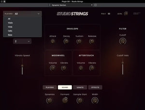 AIR Studio Strings