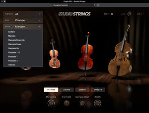 AIR Studio Strings