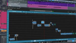 Synchro Arts RePitch Standard Upgrade