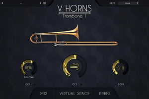 Acousticsamples VHorns Brass Section
