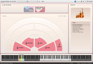 Vienna Duality Strings Essentials