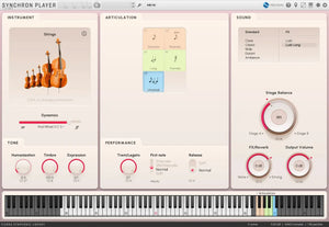 Vienna Duality Strings Essentials