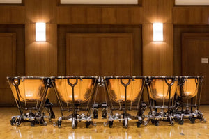 Vienna Synchron Timpani II Upgrade to Full Library