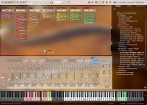 Vienna Synchron Duality Strings (Sordino) Standard Library