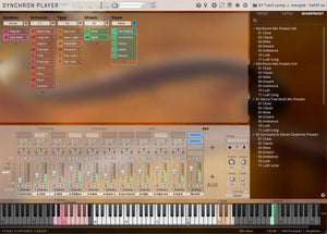 Vienna Synchron Duality Strings (Sordino) Full Library