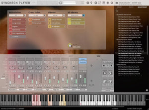 Vienna Synchron World Winds Upgrade to Full Library
