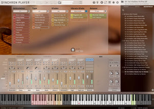 Vienna Synchron Strings Pro Standard Library Crossgrade from Synchron Strings I Standard