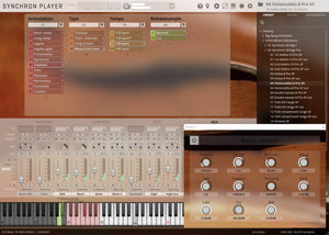 Vienna Synchron Strings Pro Standard Library Crossgrade from Synchron Strings I Standard