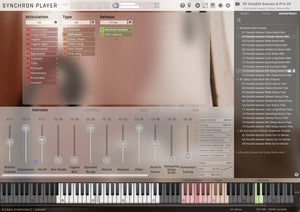 Vienna Synchron Strings Pro Standard Library