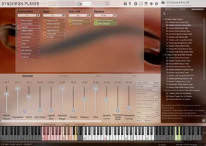 Vienna Synchron Strings Pro Standard Library Crossgrade from Synchron Strings I Standard