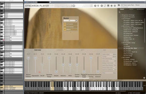 Vienna Synchron Cymbals & Gongs II Upgrade to Full Library