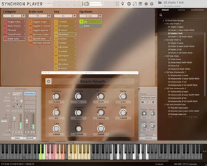Vienna Studio Solo Strings