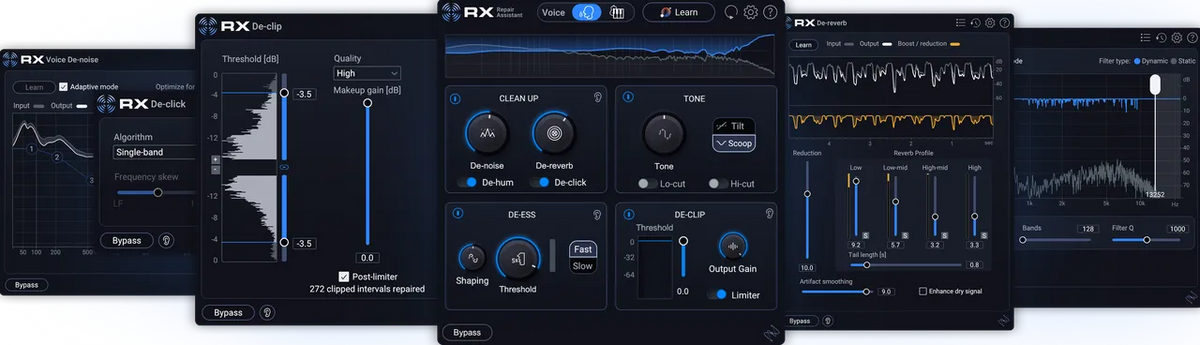 iZotope RX 12 Elements