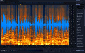 iZotope RX 12 Standard