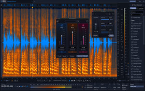iZotope RX 12 Advanced Upgrade from RX Elements or Elements Suite