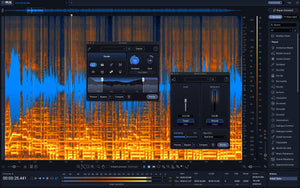 iZotope RX 12 Standard
