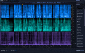 iZotope RX 12 Standard