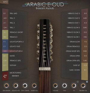 Best Service Arabic E-Oud