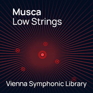 Vienna Big Bang Orchestra: Musca