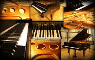 Best Service Galaxy II Vienna Grand