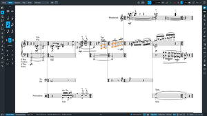 Steinberg Dorico Pro 6 + Iconica Opus + Etude Bundle