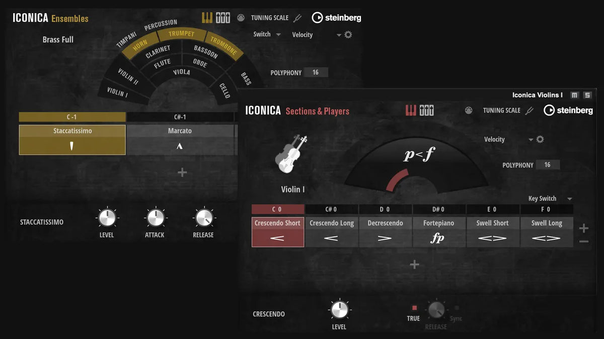 Steinberg Iconica Opus Crossgrade from Cubase, Nuendo, Dorico
