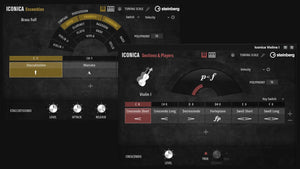 Steinberg Iconica Opus Crossgrade from Cubase, Nuendo, Dorico