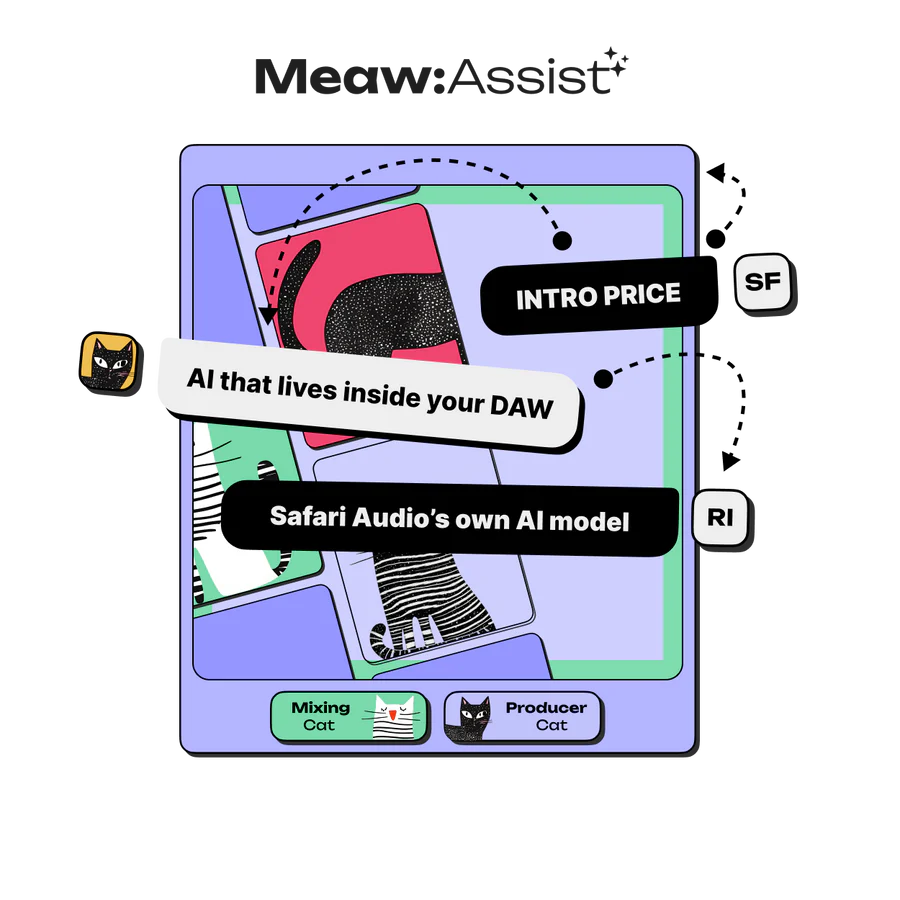 Safari Audio