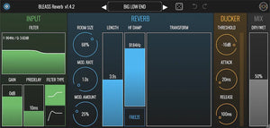 BLEASS Reverb