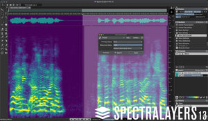 Steinberg SpectraLayers Pro 13 Competitive Crossgrade