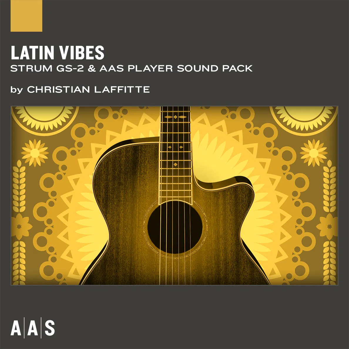 Applied Acoustics Latin Vibes - Sound Pack for Strum GS-2